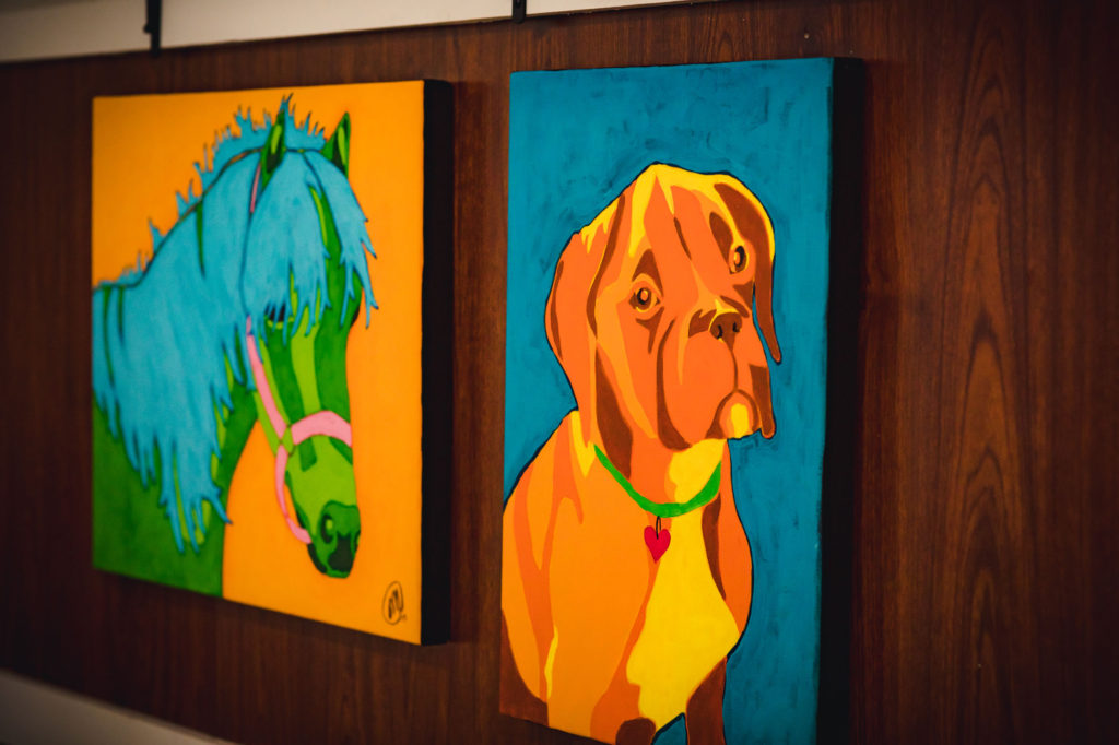 Abigail & Stitch Pet Resort & Day Stays