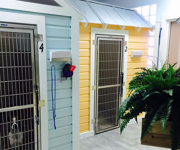 Kennels are large and roomy Kennels are large and roomy