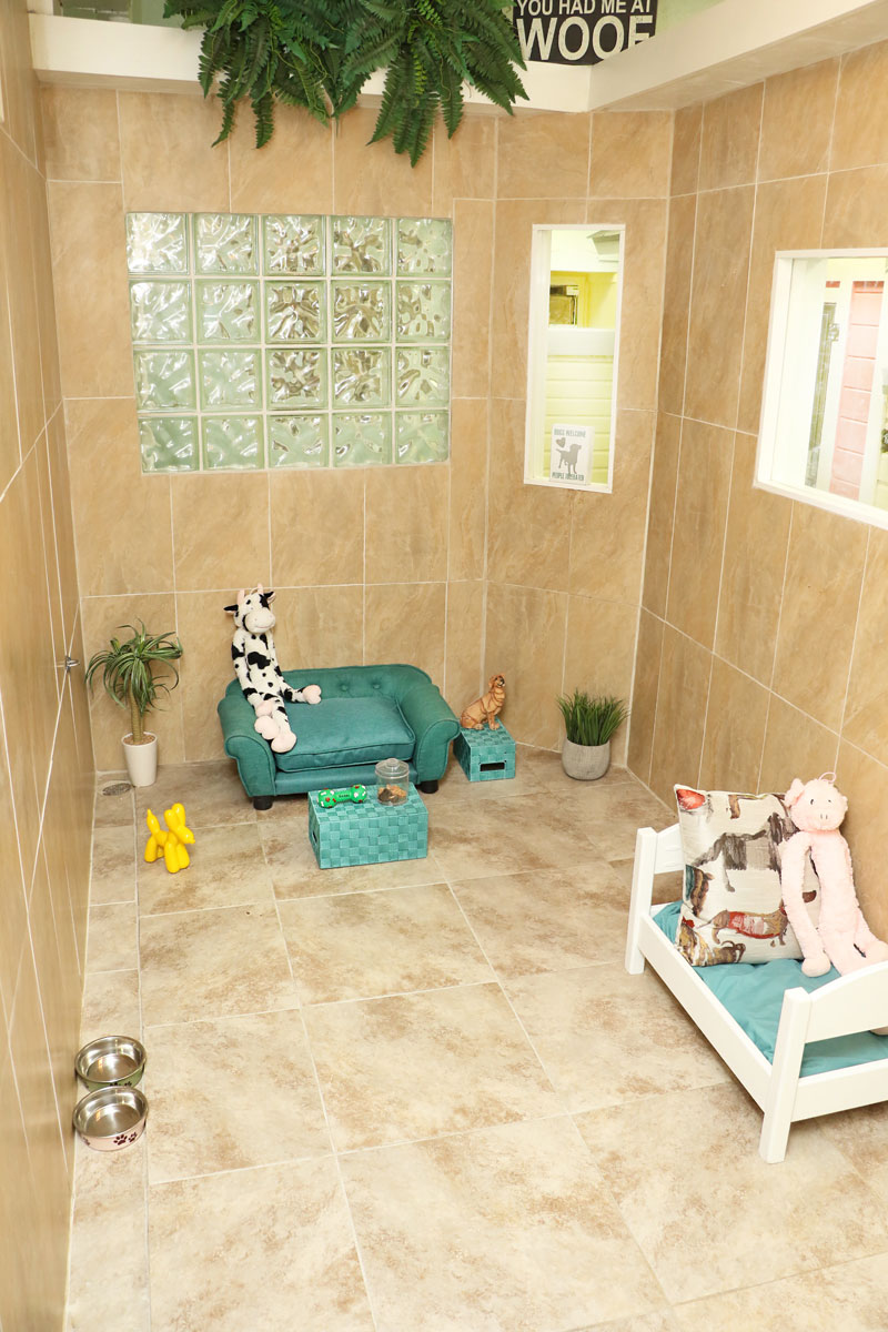 XL Suite @ Abigail & Stitch Pet Resort XL Suite @ Abigail & Stitch Pet Resort